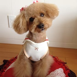 らくすさんの作品