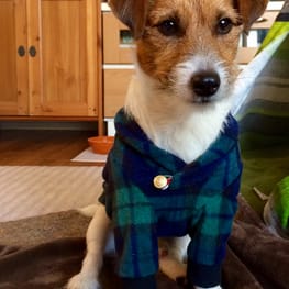 ちぃこさんの作品