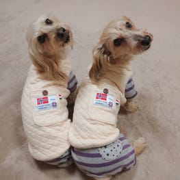 ひなはなさんの作品