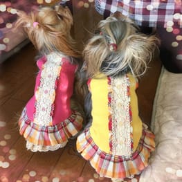 か〜ちゃさんの作品