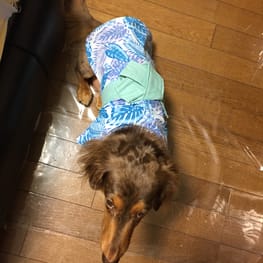 めぐみんさんの作品