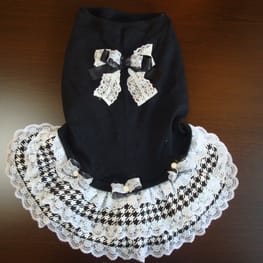 かさたんさんの作品