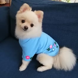 にこママさんの作品