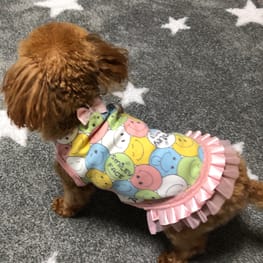 しのさんの作品