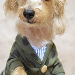 ひなはなさんの作品