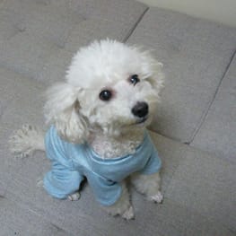 ももさんの作品