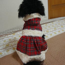 かさたんさんの作品