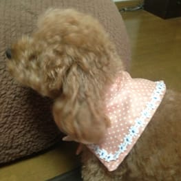 てるひめさんの作品