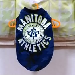 にゃん太さんの作品