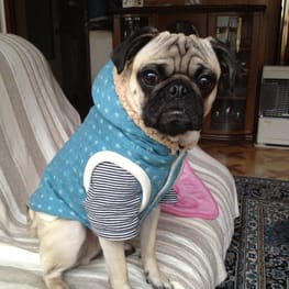 nicochan9689さんの作品