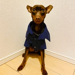 ノラあざらしさんの作品