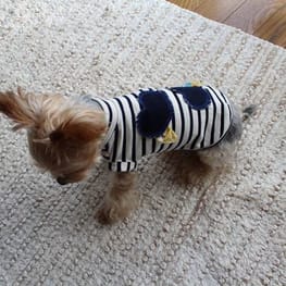 kino*さんの作品