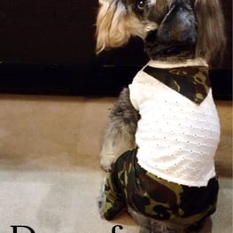 Dwarfさんの作品