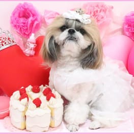 ここあずままさんの作品