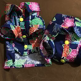 もこもこさんの作品