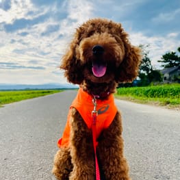 yukichiさんの作品