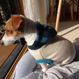 古都さんの作品