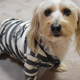 ひなはなさんの作品