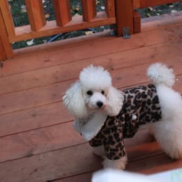 yukigesikiさんの作品