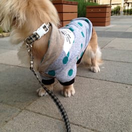 ココ母さんの作品