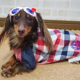 mamehanasoraさんの作品