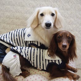 mamehanasoraさんの作品