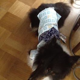 アルままさんの作品