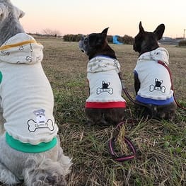 ちびっこさんの作品