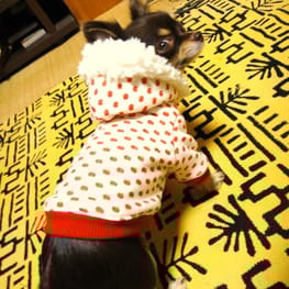 millamillaさんの作品