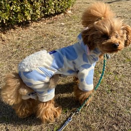 くれよんさんの作品