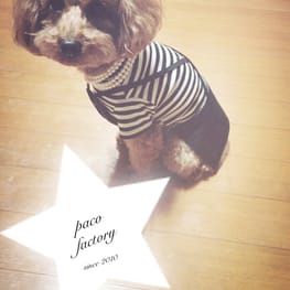 パコさんの作品