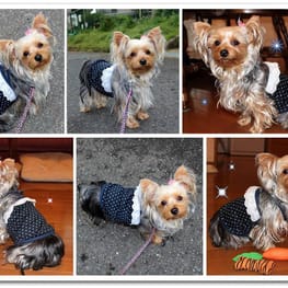 なおまろんさんの作品