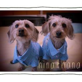 ひなはなさんの作品