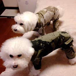 みちもこさんの作品