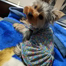 ちびたさんの作品