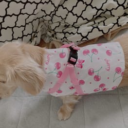 ハーネスウェア Millacra 愛犬のための犬服 ペット服の型紙通販 作り方 教室 Milla Milla