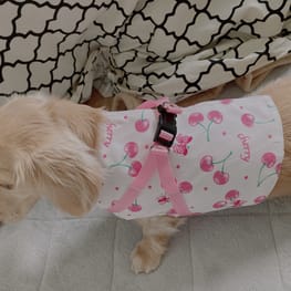 ハーネスウェア Millacra 愛犬のための犬服 ペット服の型紙通販 作り方 教室 Milla Milla