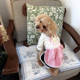 リンゴさんの作品