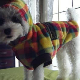 ミチさんの作品