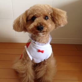 らくすさんの作品