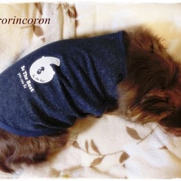 roncoさんの作品