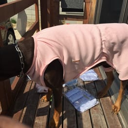 Aliceさんの作品