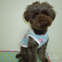 kunkunさんの作品