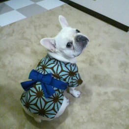 ぶん太さんの作品