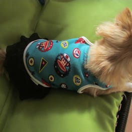 テンミーさんの作品