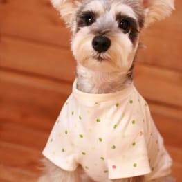 yucco*さんの作品