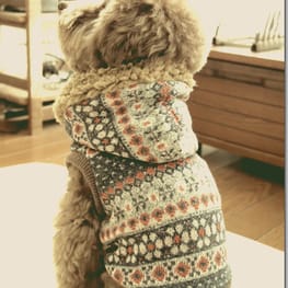 くろねこまめさんの作品