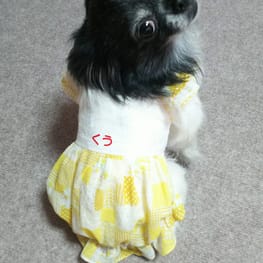 littlelilyさんの作品