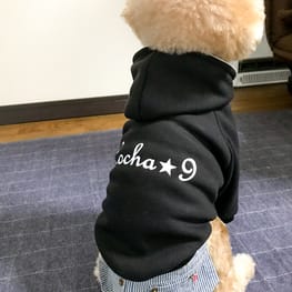 ちゃちゃさんの作品