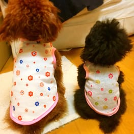 ルゥさんの作品